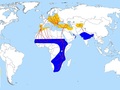 

Ogólne
trasy przelotów bocianów oraz obszary lęgowe i zimowe.

Autor:
Bamse, źródło: http://pl.wikipedia.org/wiki/Plik:White_Stork_migration_map-en.svg

